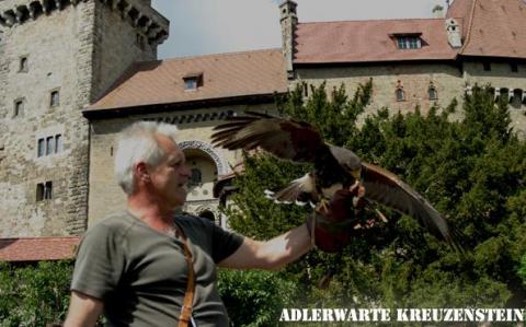 Ein Mann hält einen Raubvogel auf seinem behandschuhten Arm vor einer historischen Steinburg. Unten rechts erscheint der Text "ADLERWARTE KREUZENSTEIN".