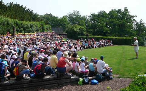 Eine große Gruppe von Kindern und Erwachsenen sitzt im Freien auf gestuften Sitzen und hört einer Person zu, die auf einer von Bäumen umgebenen Wiese steht und spricht.