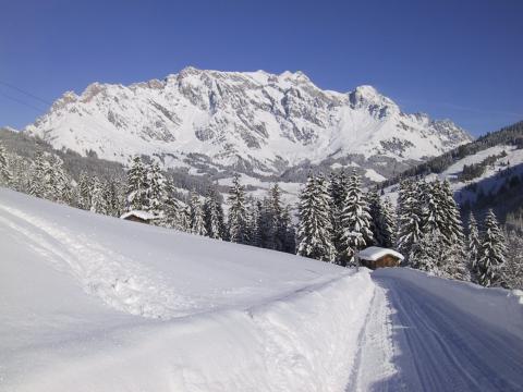 Schneebedeckte Landschaft mit einem Berg im Hintergrund, Kiefern, zwei kleinen Holzhütten und einem klaren blauen Himmel.