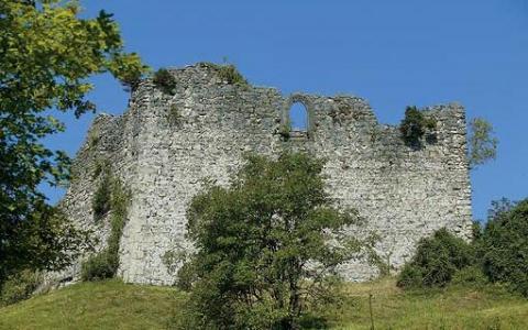 Eine teilweise zerstörte steinerne Burgmauer steht auf einem grasbewachsenen Hügel, mit Bäumen und Büschen im Vordergrund unter einem klaren blauen Himmel.