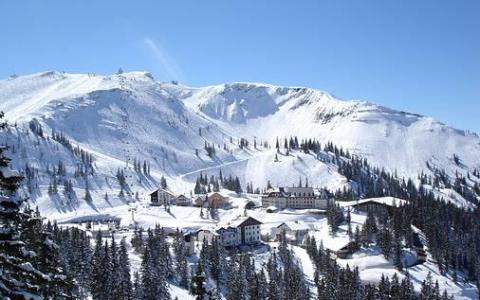 Die schneebedeckten Gebäude des Skigebiets schmiegen sich am Fuße eines Berghangs unter einem strahlend blauen Himmel an die Pinienbäume.