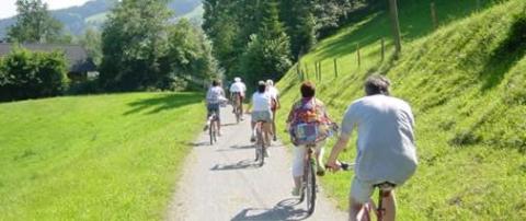 Eine Gruppe von Menschen fährt an einem sonnigen Tag mit dem Fahrrad einen Kiesweg entlang, der von grünem Gras und Bäumen umgeben ist.