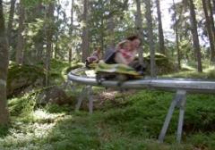 Zwei Personen fahren auf einer einspurigen Alpenachterbahn durch ein bewaldetes Gebiet, umgeben von Bäumen und Grünflächen.