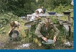 Vier Personen suchen an einem Bach nach Gold, wobei jeder eine Pfanne benutzt, um Wasser und Sediment in einer üppigen, grünen Umgebung zu durchsuchen.