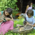 Zwei Kinder sitzen mit Kaninchen im Gras, eines hält ein Kaninchen, das andere einen Korb mit weiteren Kaninchen. Zwei Erwachsene sind unscharf im Hintergrund zu erkennen.