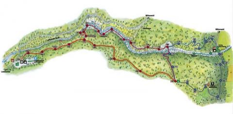 Illustrierte Wanderkarte, die einen Fluss zeigt, der durch ein Waldgebiet fließt, mit markierten Wegen, nummerierten Punkten und beschrifteten Orientierungspunkten entlang der Strecke.