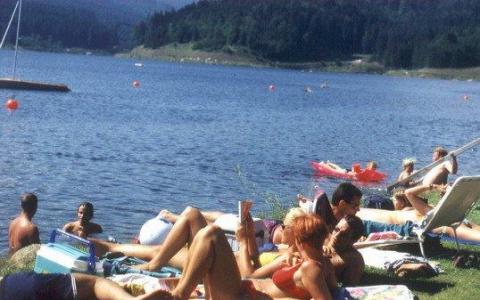 Menschen, die sich auf einer Wiese am Ufer eines Sees sonnen und entspannen, mit Bäumen und Hügeln im Hintergrund.