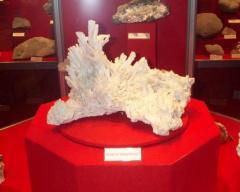 Ein großes, weißes Mineral mit stacheligen Kristallformationen wird auf einem roten Podest in einer Museumsumgebung ausgestellt.