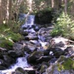 Ein kleiner Wasserfall fließt über Felsen in einem bewaldeten Gebiet, wobei das Sonnenlicht durch die Bäume fällt.