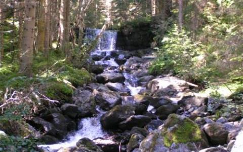 Ein kleiner Wasserfall fließt über Felsen in einem bewaldeten Gebiet, wobei das Sonnenlicht durch die Bäume fällt.