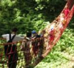 Mehrere Personen, darunter Kinder und ein Erwachsener, überqueren eine rote Netzseilbrücke in einer grünen, bewaldeten Umgebung.