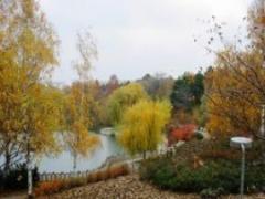 Eine Parklandschaft mit herbstlichen Bäumen, einem kleinen See und einem von einem Holzzaun gesäumten Spazierweg unter einem bewölkten Himmel.