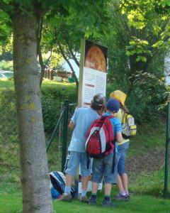 Drei Kinder mit Rucksäcken stehen im Freien und lesen ein Informationsschild unter Bäumen.