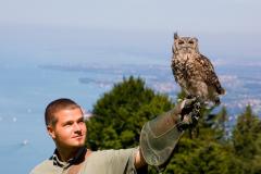 Eine Person mit einem Falknerhandschuh hält eine sitzende Eule im Freien, mit einem großen Gewässer und Bäumen im Hintergrund.