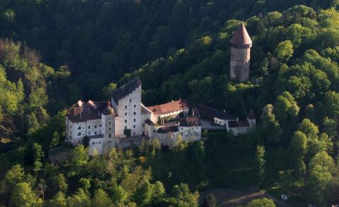 Luftaufnahme einer mittelalterlichen Burganlage mit Umfassungsmauern und einem hohen Rundturm, eingebettet in eine dicht bewaldete, hügelige Landschaft.