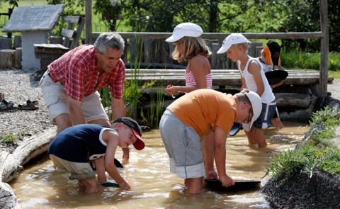Ein Erwachsener und vier Kinder suchen an einem sonnigen Tag im Freien in einem seichten, schlammigen Bach nach etwas.