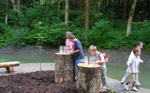 Fünf Kinder untersuchen Objekte auf Baumstümpfen, die als Tische in einem bewaldeten Außenbereich in der Nähe eines kleinen Baches dienen.
