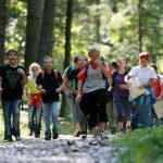 Eine Gruppe von Menschen, einige mit Rucksäcken und Landkarten, geht an einem sonnigen Tag einen Waldweg in einem bewaldeten Gebiet entlang.