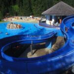 Außenschwimmbad mit blauer Wasserrutsche, umgeben von Bäumen. Mehrere Leute schwimmen und spielen im Pool und faulenzen in der Nähe.