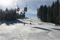 Zwei Personen fahren an einem sonnigen Tag eine verschneite Piste mit Kiefern an den Seiten und Skiliften über sich hinunter.