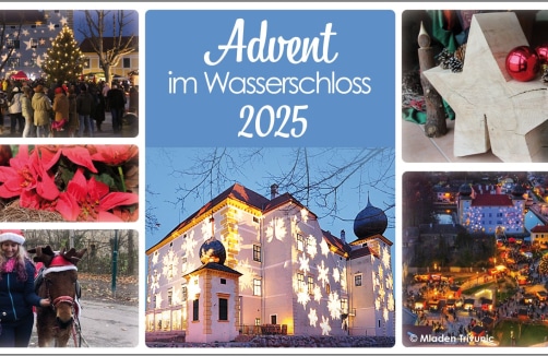 Collage zur Werbung für "Advent im Wasserschloss 2025" mit festlichen Szenen, darunter ein geschmücktes Schloss, ein Weihnachtsmarkt, Weihnachtssterne, eine Sternverzierung, ein Ausritt und eine Luftaufnahme der beleuchteten Stadt.